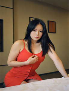 大明奇冤